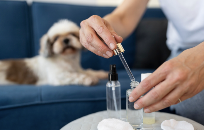 CBD Oil for Dogs