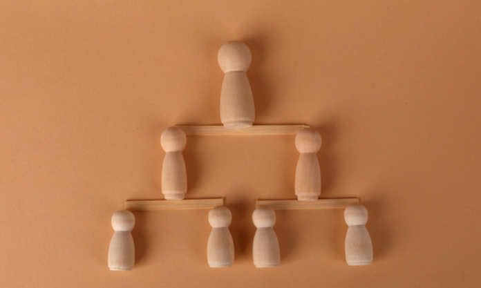 Build an Organization