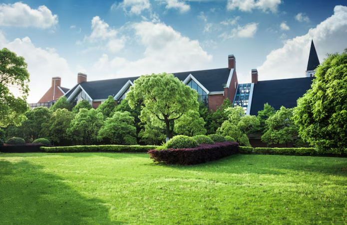 Lawn Care Tips