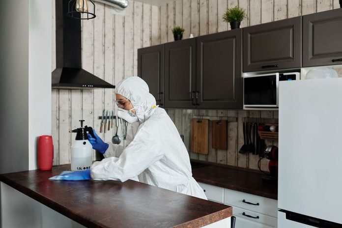 Home Pest-Free