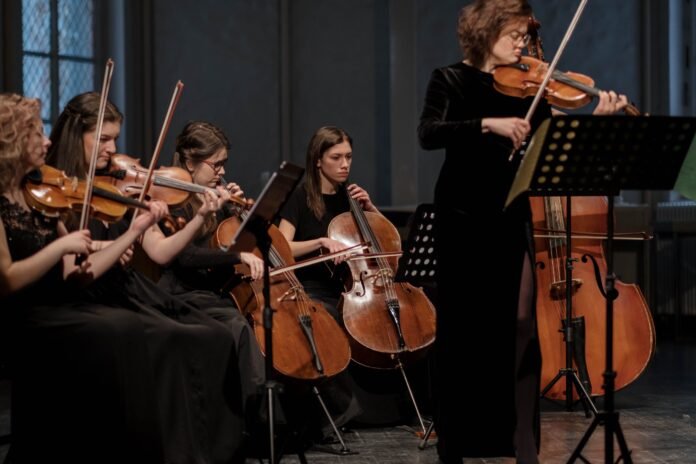 Professional Violinists